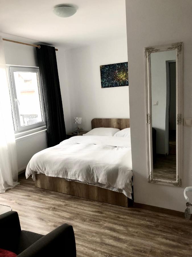 Pensiunea Casa Alba 베클레안 외부 사진