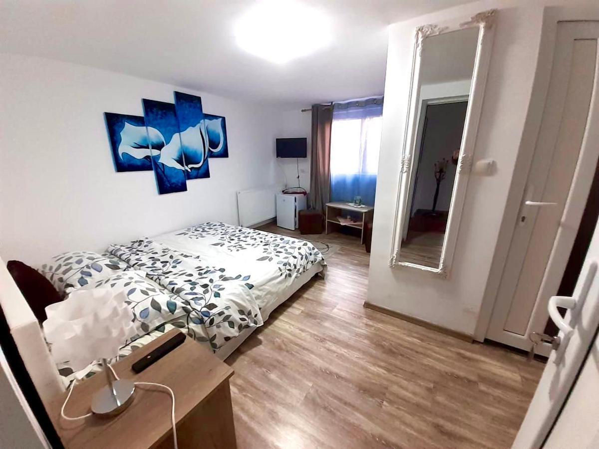 Pensiunea Casa Alba 베클레안 외부 사진