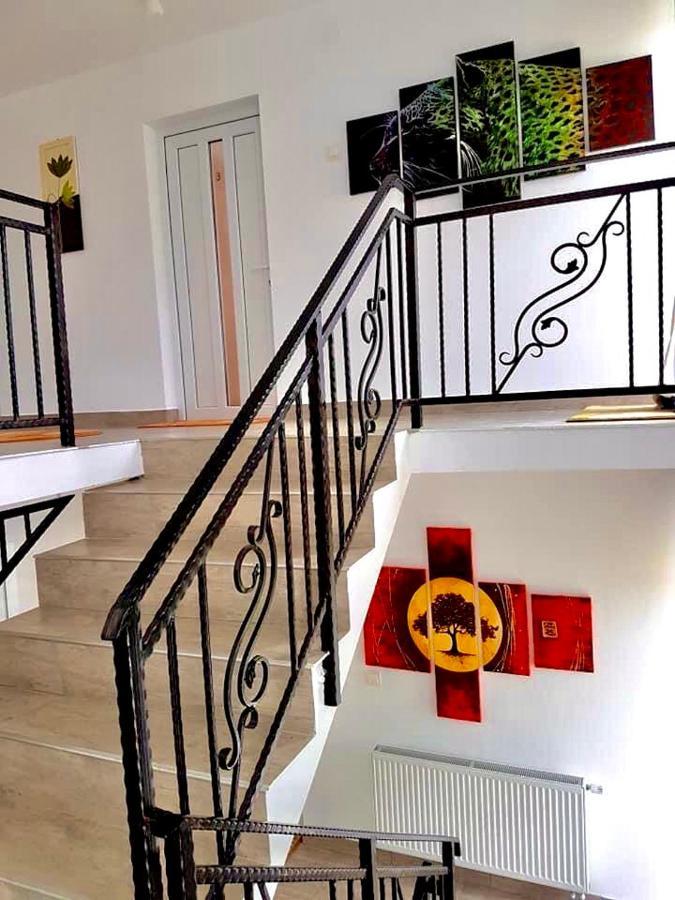 Pensiunea Casa Alba 베클레안 외부 사진